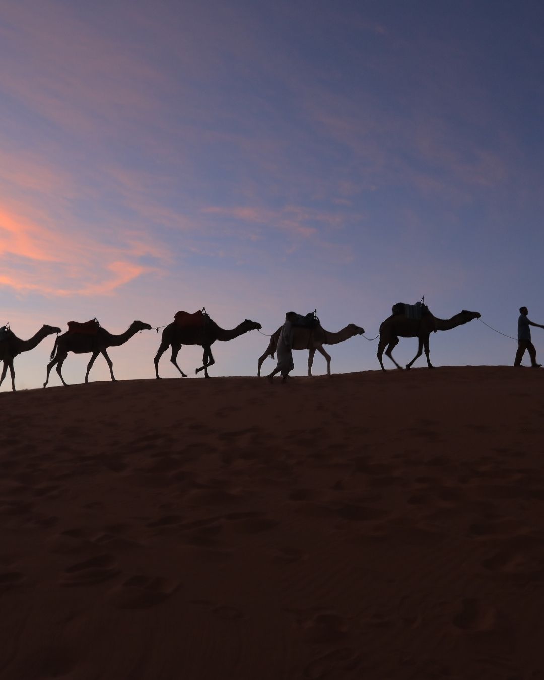 9N Moroccan Imperial Cities & Desert Wonders