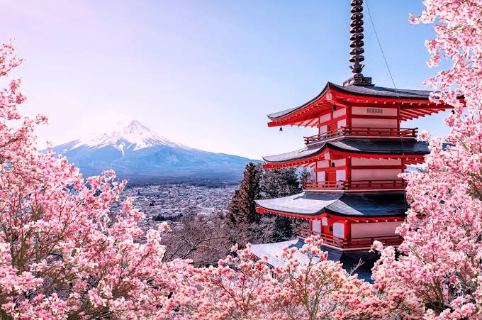 7N Japan Tour Package: Cherry Blossom Special | With Flights | Mumbai, Delhi and Bengaluru — Japan holiday package
