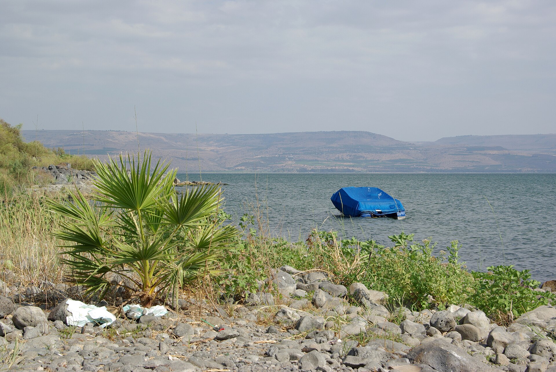 Shoreline of the Sea of Galilee in northern Israel
