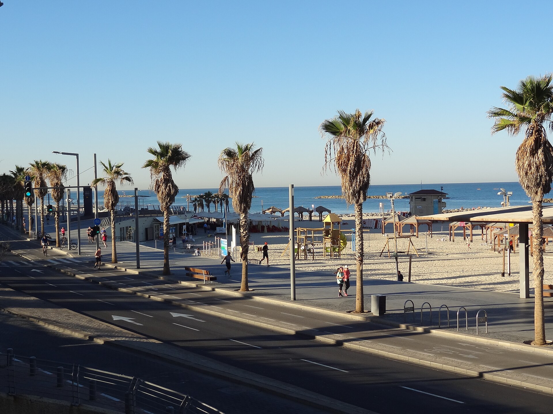 Tel Aviv beach promenade lined with palms