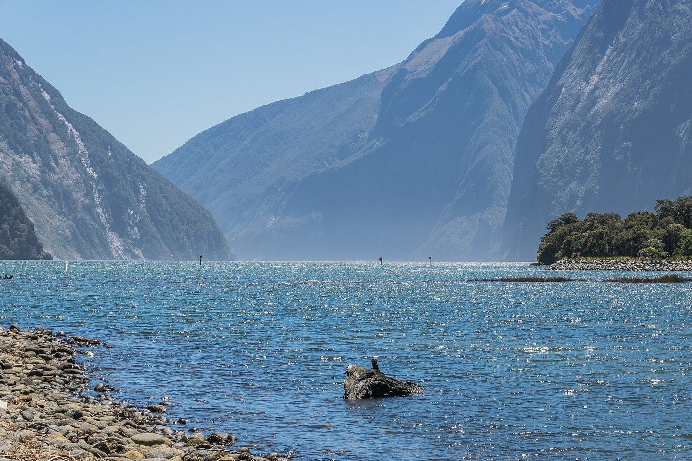Cruise boat on Milford Sound, Fiordland