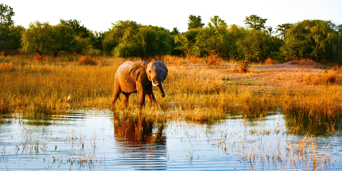 Zimbabwe package 6